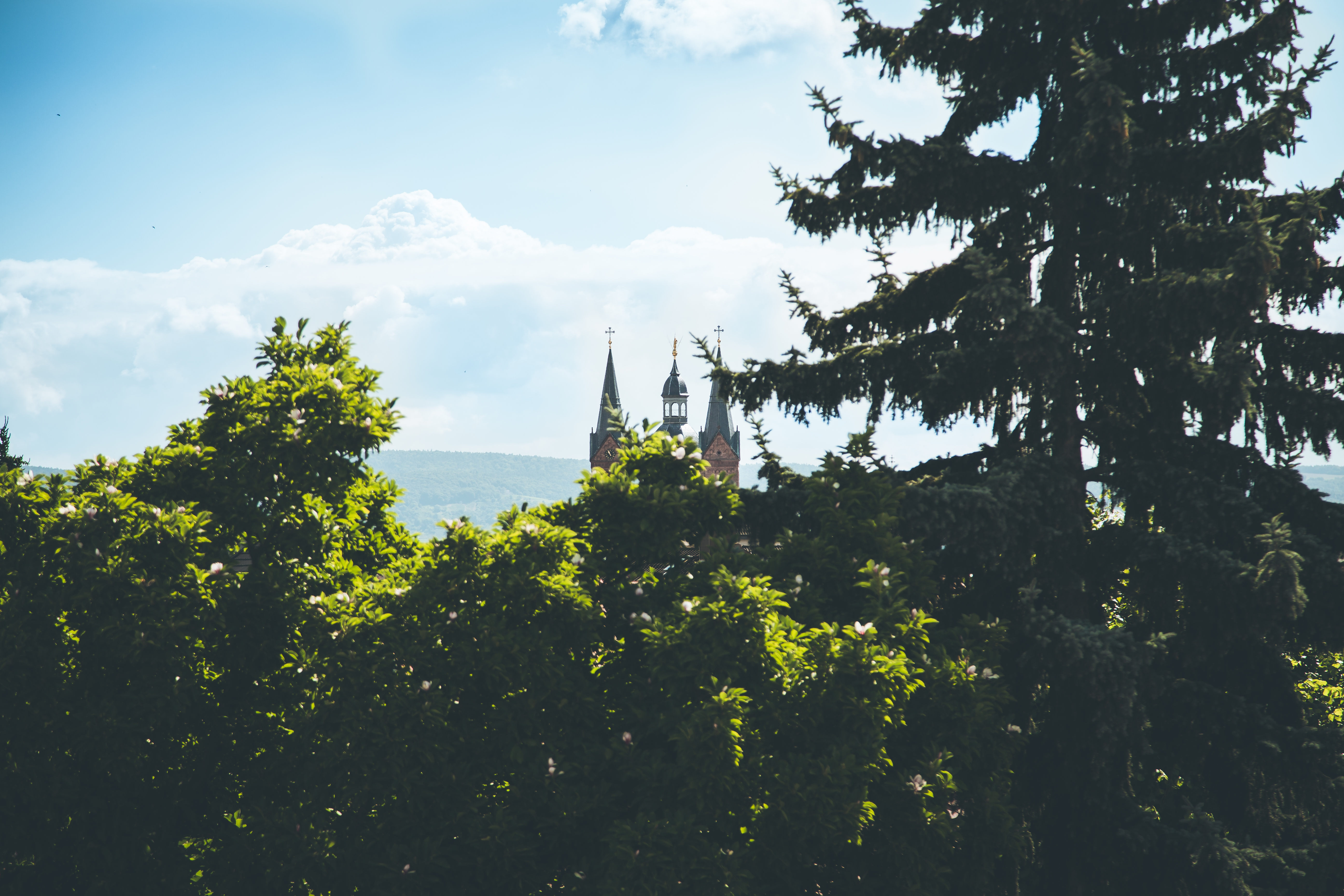 Ausblick auf die Basilika